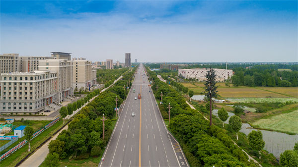 新城大道